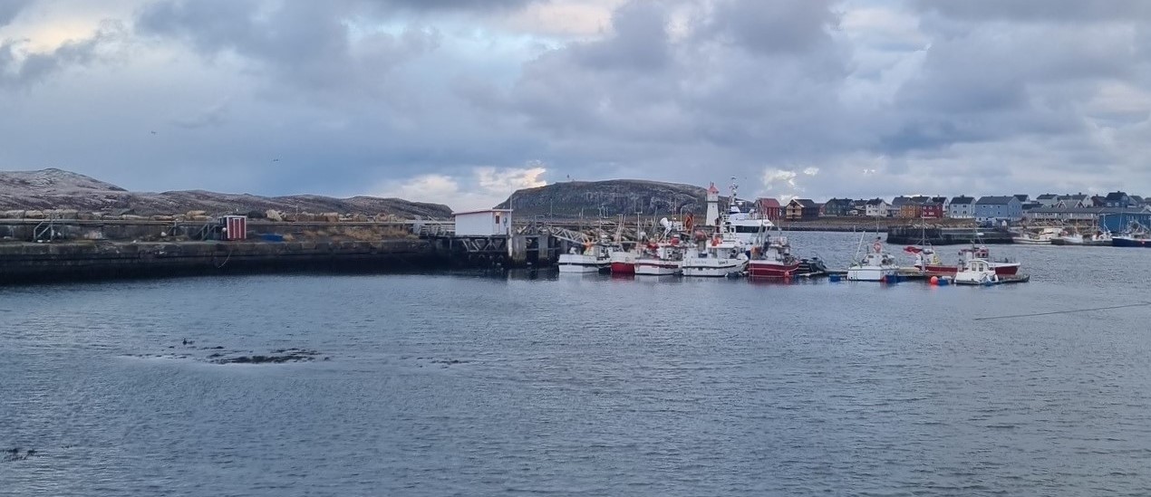 Vardø fiskerihavn. 