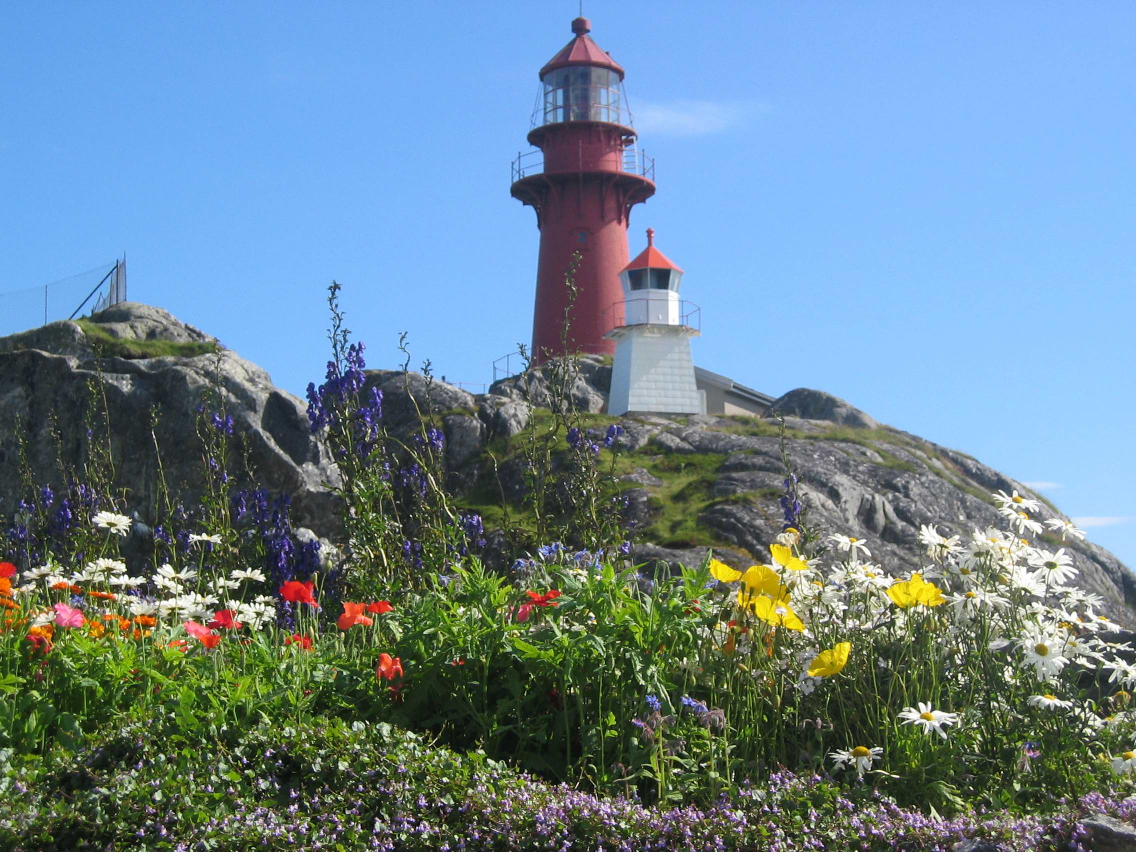 Ona fyr i blomsterprakt_foto Haldor Sæther.jpg