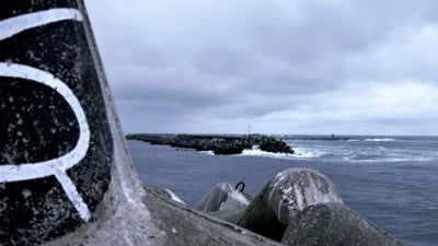 Berlevåg havn