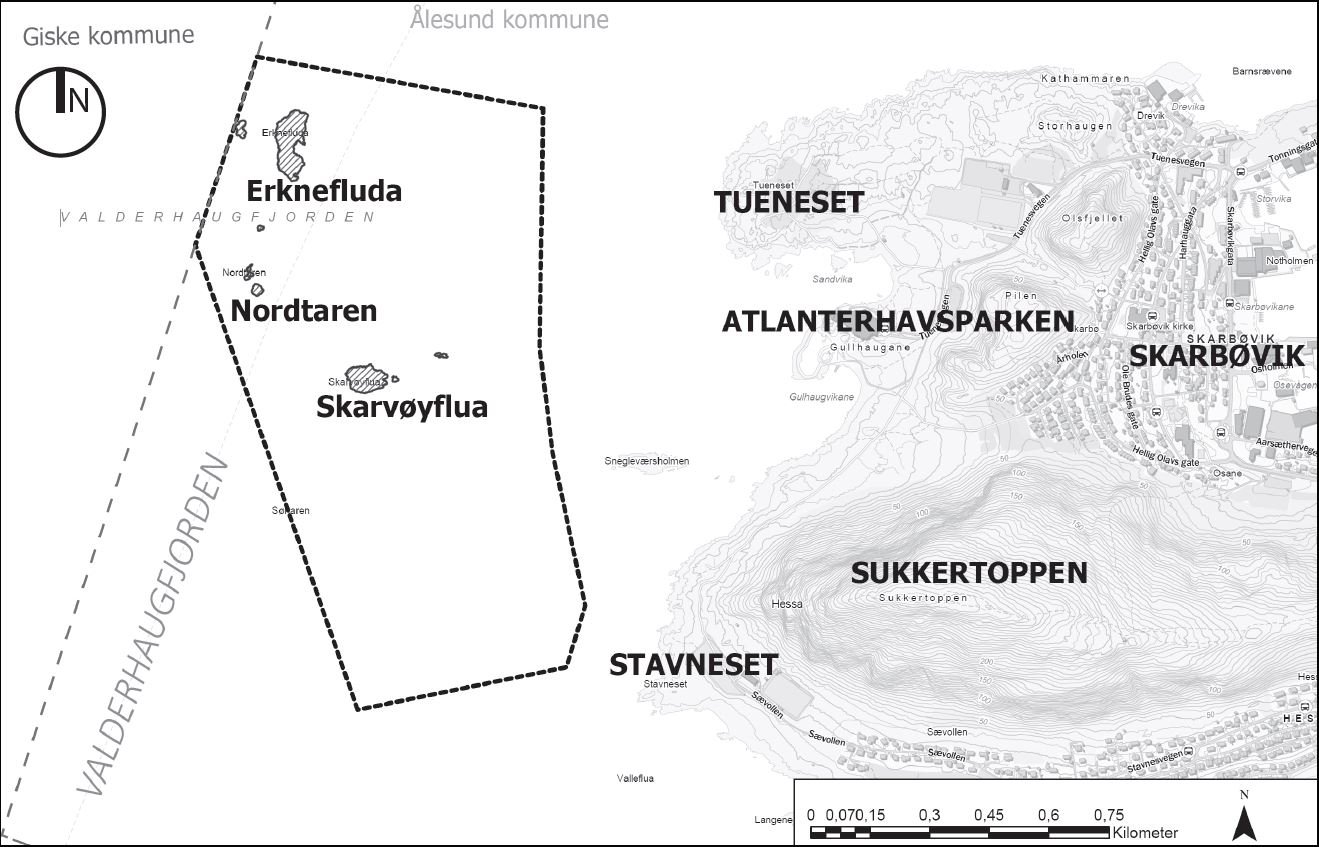 Planavgrensing Ålesund.JPG